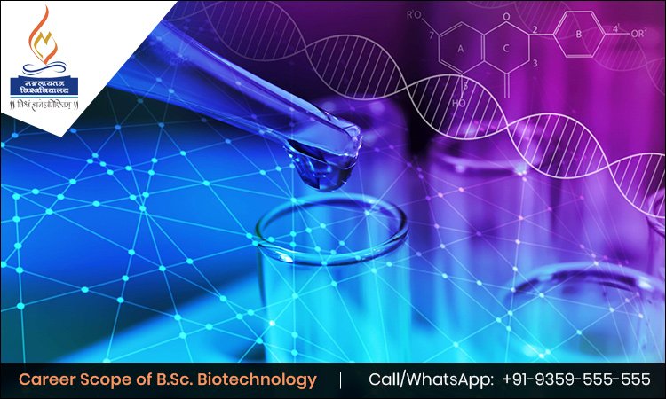 Career Scope of B.Sc. Biotechnology