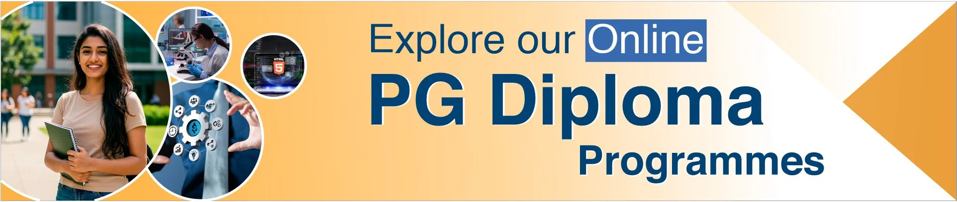 online pg diploma programs